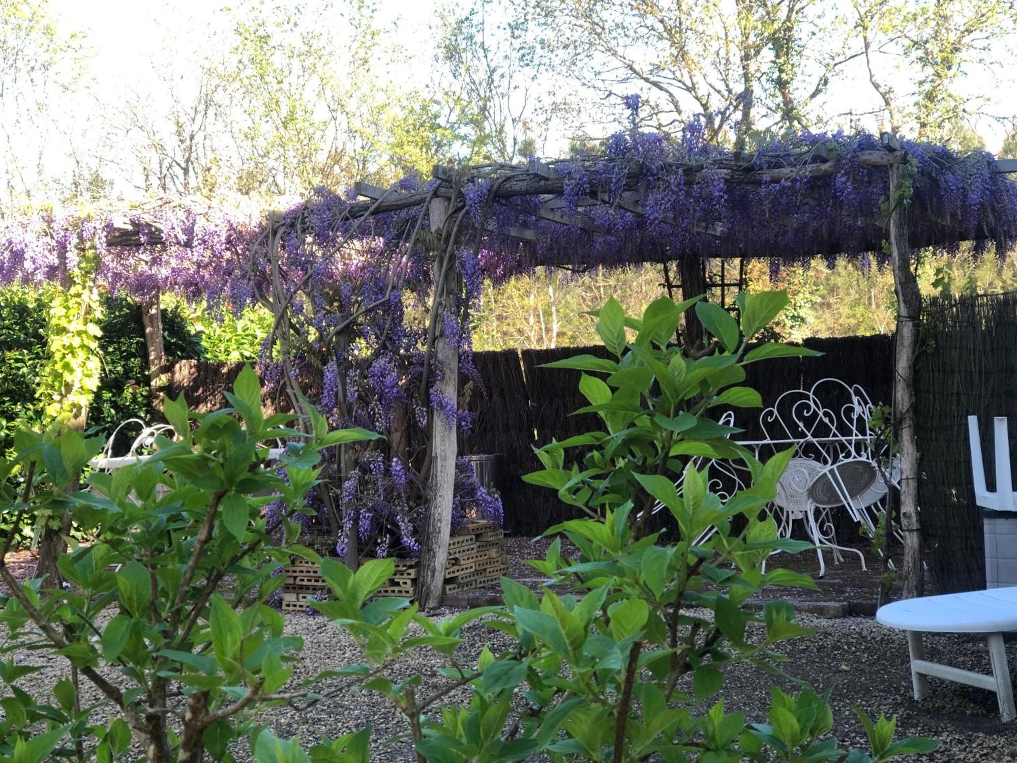 La Maison Des Ateliers Solferino Bagian luar foto